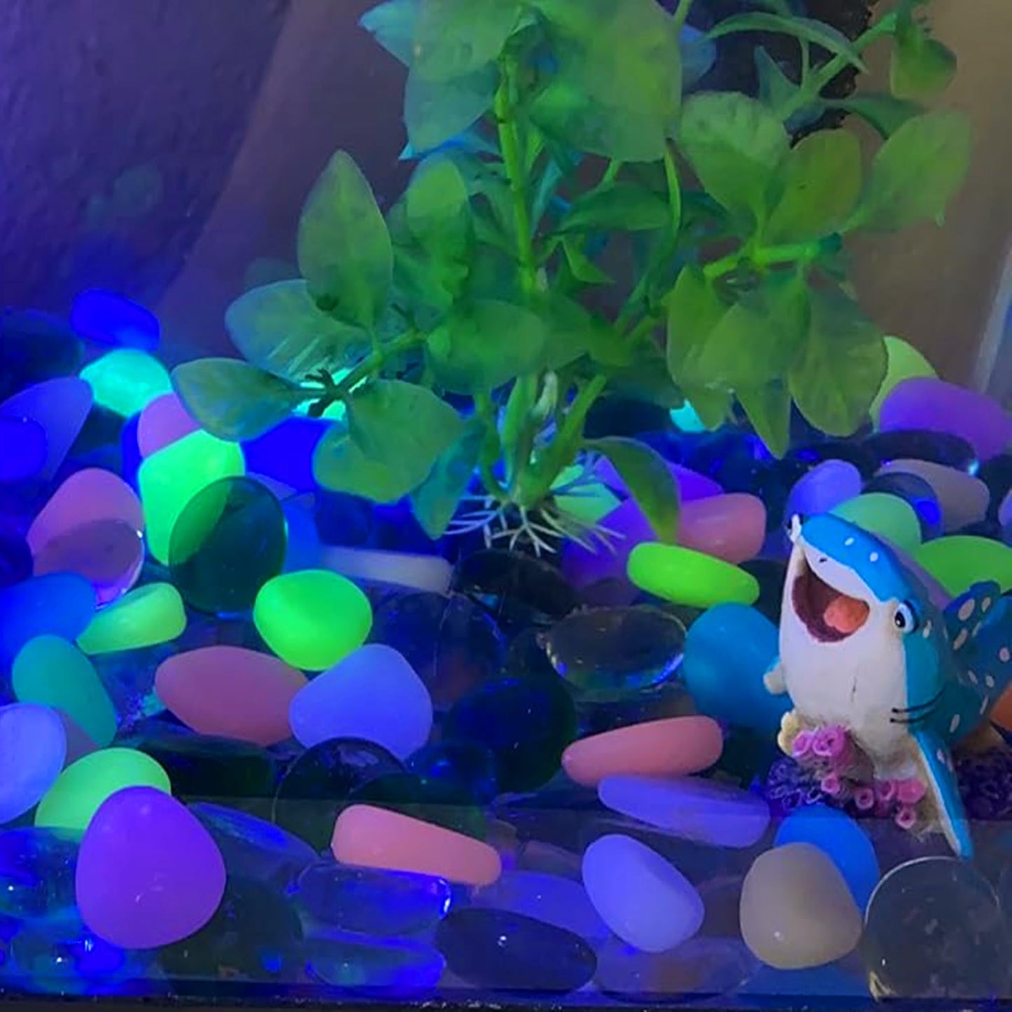 0.8-1.2" Big Rainbow Multicolor Glow in The Dark Rocks, Big Colored Pebbles, Aquarium Gravel, Fish Tank Gravel, Live Plants for Fish Tank, Glow Rocks for Landscaping 150 Pcs (1, Pounds)