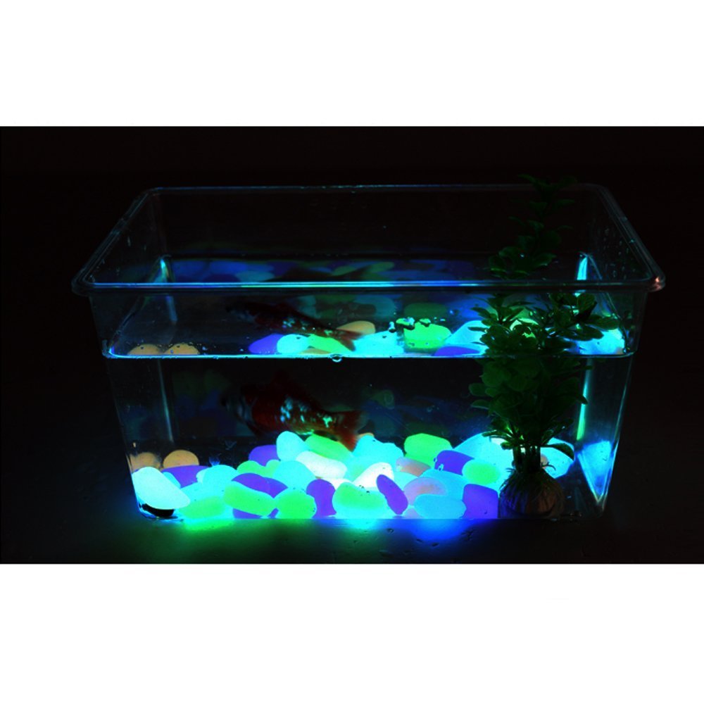 4.8Lbs 1000Pcs Glow in The Dark Stones Pebbles Blue, Azure