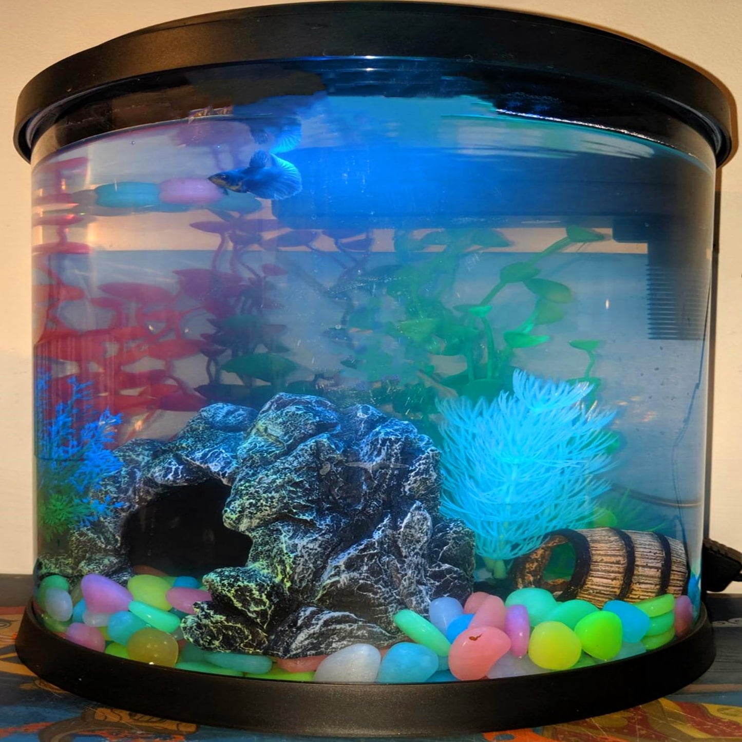 0.8-1.2" Big Rainbow Multicolor Glow in The Dark Rocks, Big Colored Pebbles, Aquarium Gravel, Fish Tank Gravel, Live Plants for Fish Tank, Glow Rocks for Landscaping 150 Pcs (1, Pounds)