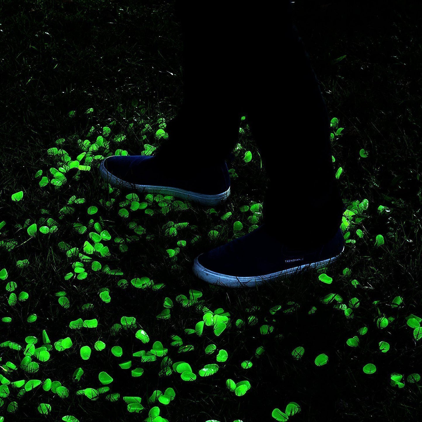 2.4Lbs 550Pcs Glow in The Dark Stones Garden Pebbles Rocks Indoor Outdoor Decor Luminous Stone for Walkways Driveway Yard Grass Fish Tank Halloween Decoration Large Bag